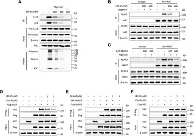 An RRx-001 Analogue With Potent Anti-NLRP3 Inflammasome Activity but Without High-Energy Nitro Functional Groups